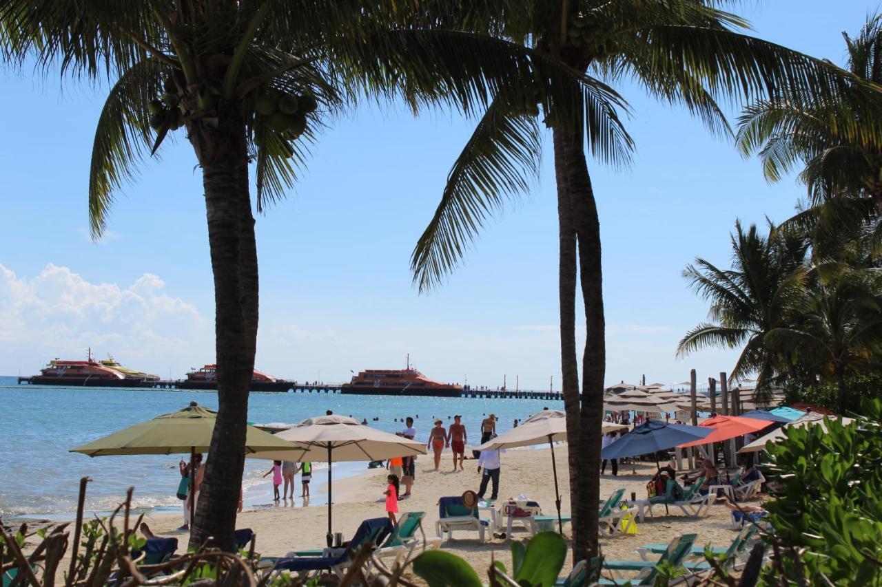 Vista Caribe Diving Resort פלאייה דל כרמן מראה חיצוני תמונה